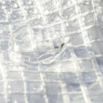 170GSMClearTarpaulinSheetsMonoCoverReinforcedTarpaulins